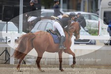 ref. photo 3347519