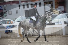 ref. photo 3347590