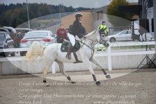 ref. photo 3347614
