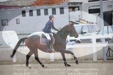 ref. photo 3347910