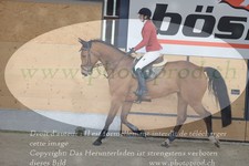 ref. photo 3071284