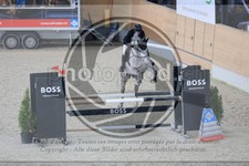 ref. photo 3512312