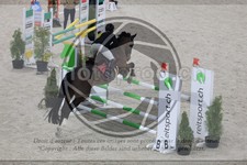 ref. photo 3512349