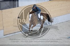ref. photo 3512366