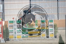 ref. photo 3512371