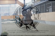 ref. photo 3512384