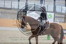 ref. photo 3512391