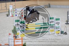ref. photo 3512462