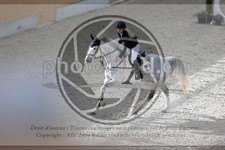 ref. photo 3512502