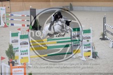ref. photo 3512506