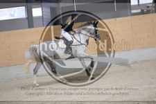 ref. photo 3512509