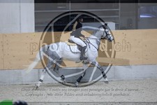 ref. photo 3512513