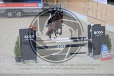 ref. photo 3512585