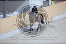 ref. photo 3512649