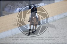 ref. photo 3512650