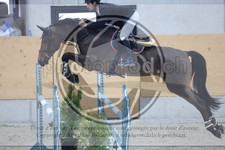ref. photo 3512674