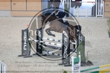 ref. photo 3512691