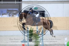 ref. photo 3512721