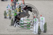 ref. photo 3512728