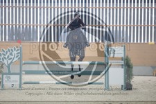 ref. photo 3512730