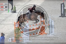 ref. photo 3512737