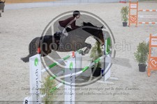 ref. photo 3512746