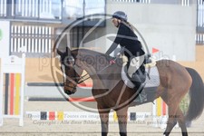 ref. photo 3512780