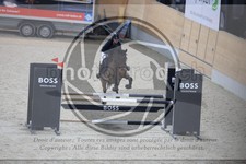 ref. photo 3512783