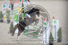 ref. photo 3512805