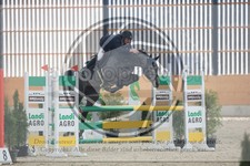 ref. photo 3512872