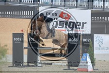 ref. photo 3512899