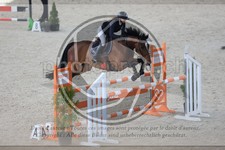 ref. photo 3512949