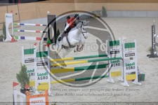 ref. photo 3513014