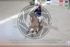 ref. photo 3513031