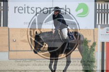 ref. photo 3513056