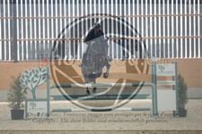 ref. photo 3513069