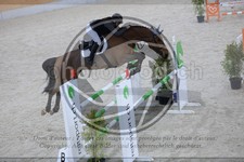 ref. photo 3513078