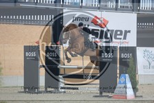 ref. photo 3513114