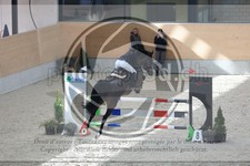 ref. photo 3513133