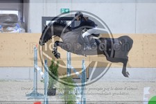 ref. photo 3513136