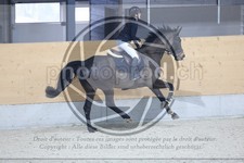 ref. photo 3513141