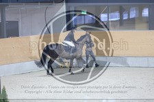 ref. photo 3513142