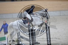 ref. photo 3513164