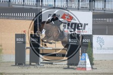ref. photo 3513182