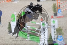 ref. photo 3513192