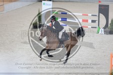 ref. photo 3513296