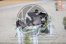 ref. photo 3513303