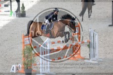 ref. photo 3513314