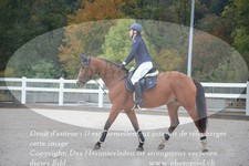 ref. photo 3348196