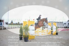 ref. photo 3348412